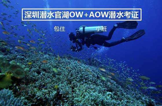 老爹烘培店中文版